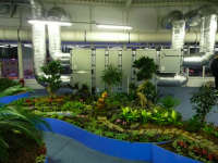 /album/repino2/picture-22-png/